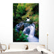 Waterfall In The Woods, Ireland Wall Mural