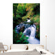 Waterfall In The Woods, Ireland Wall Mural