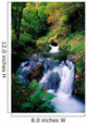 Waterfall In The Woods, Ireland Wall Mural