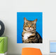 Tabby Cat Wall Mural