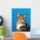 Tabby Cat Wall Mural