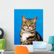 Tabby Cat Wall Mural