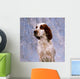 Portrait Of Irish Red And White Setter Wall Mural