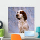 Portrait Of Irish Red And White Setter Wall Mural