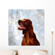 Irish Red Setter Wall Mural