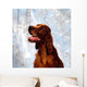 Irish Red Setter Wall Mural