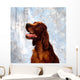 Irish Red Setter Wall Mural
