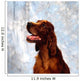 Irish Red Setter Wall Mural