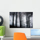 Foggy Woods Wall Mural