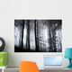 Foggy Woods Wall Mural
