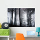 Foggy Woods Wall Mural