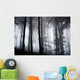 Foggy Woods Wall Mural