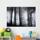 Foggy Woods Wall Mural