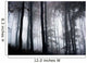 Foggy Woods Wall Mural