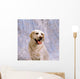 Labrador Retriever Wall Mural