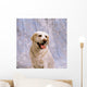 Labrador Retriever Wall Mural