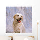 Labrador Retriever Wall Mural