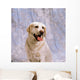Labrador Retriever Wall Mural