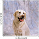 Labrador Retriever Wall Mural