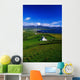 Beara Penninsula, Co Kerry, Ireland Wall Mural