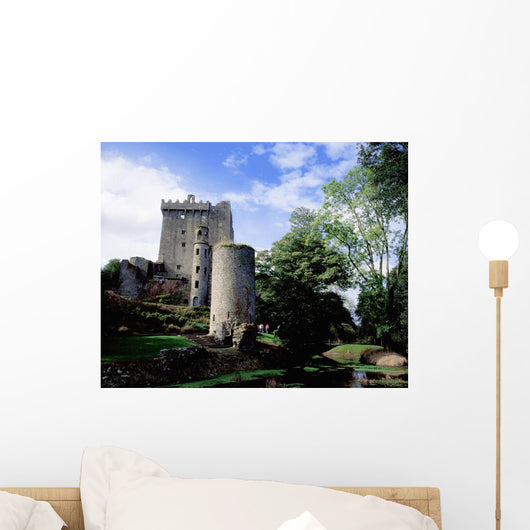 Blarney Castle, County Cork, Ireland Wall Mural