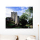 Blarney Castle, County Cork, Ireland Wall Mural