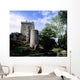 Blarney Castle, County Cork, Ireland Wall Mural