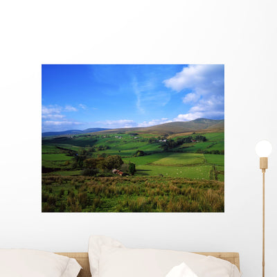 Sperrin Mountains Co Tyrone Wall Mural shown on a wall