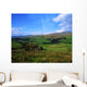 Sperrin Mountains, Co Tyrone, Ireland Wall Mural