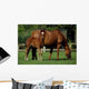 Thoroughbreds Mare & Foal, Ireland Wall Mural