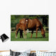 Thoroughbreds Mare & Foal, Ireland Wall Mural