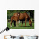 Thoroughbreds Mare & Foal, Ireland Wall Mural