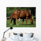Thoroughbreds Mare & Foal, Ireland Wall Mural