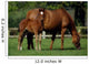 Thoroughbreds Mare & Foal, Ireland Wall Mural