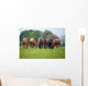Thoroughbred Horse, Ireland Wall Mural