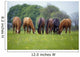 Thoroughbred Horse, Ireland Wall Mural
