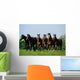 Thoroughbred Yearlings, Co Meath, Ireland Wall Mural