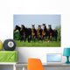 Thoroughbred Yearlings, Co Meath, Ireland Wall Mural