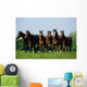 Thoroughbred Yearlings, Co Meath, Ireland Wall Mural