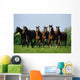 Thoroughbred Yearlings, Co Meath, Ireland Wall Mural