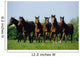 Thoroughbred Yearlings, Co Meath, Ireland Wall Mural