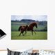 Thoroughbred Mare & Foal, Ireland Wall Mural
