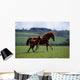 Thoroughbred Mare & Foal, Ireland Wall Mural