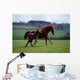 Thoroughbred Mare & Foal, Ireland Wall Mural