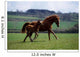 Thoroughbred Mare & Foal, Ireland Wall Mural
