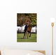 Thoroughbred Horse, Ireland Wall Mural