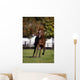 Thoroughbred Horse, Ireland Wall Mural
