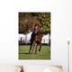 Thoroughbred Horse, Ireland Wall Mural