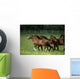 Thoroughbred Horses, Ireland Wall Mural