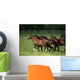 Thoroughbred Horses, Ireland Wall Mural